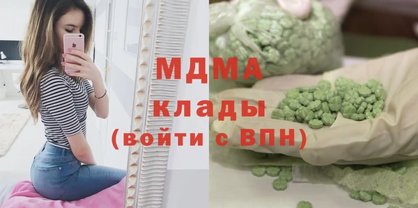 индика Беломорск