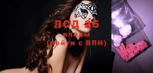 индика Беломорск
