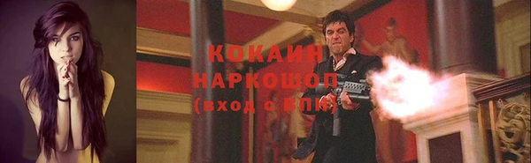 индика Беломорск
