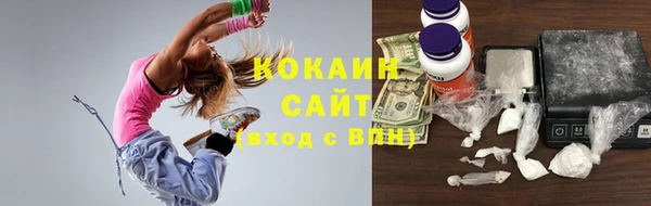 индика Беломорск