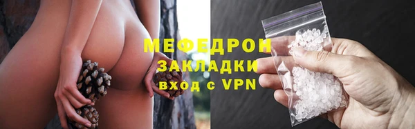 индика Беломорск