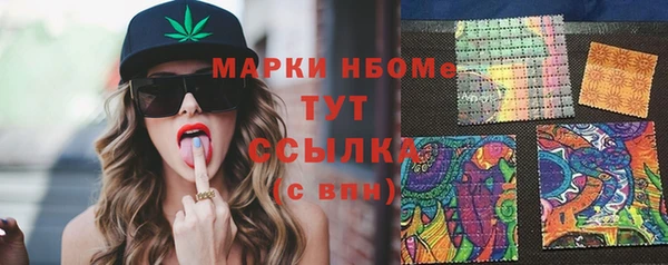 индика Беломорск