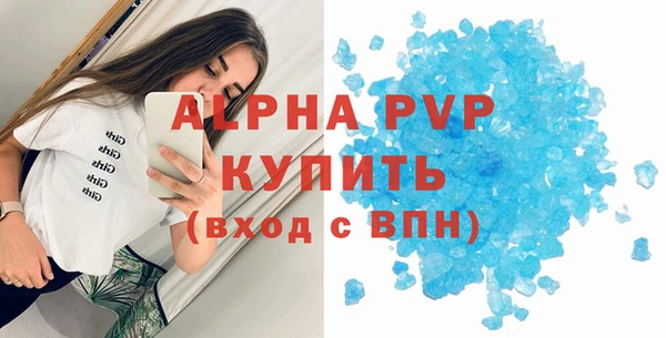 индика Беломорск